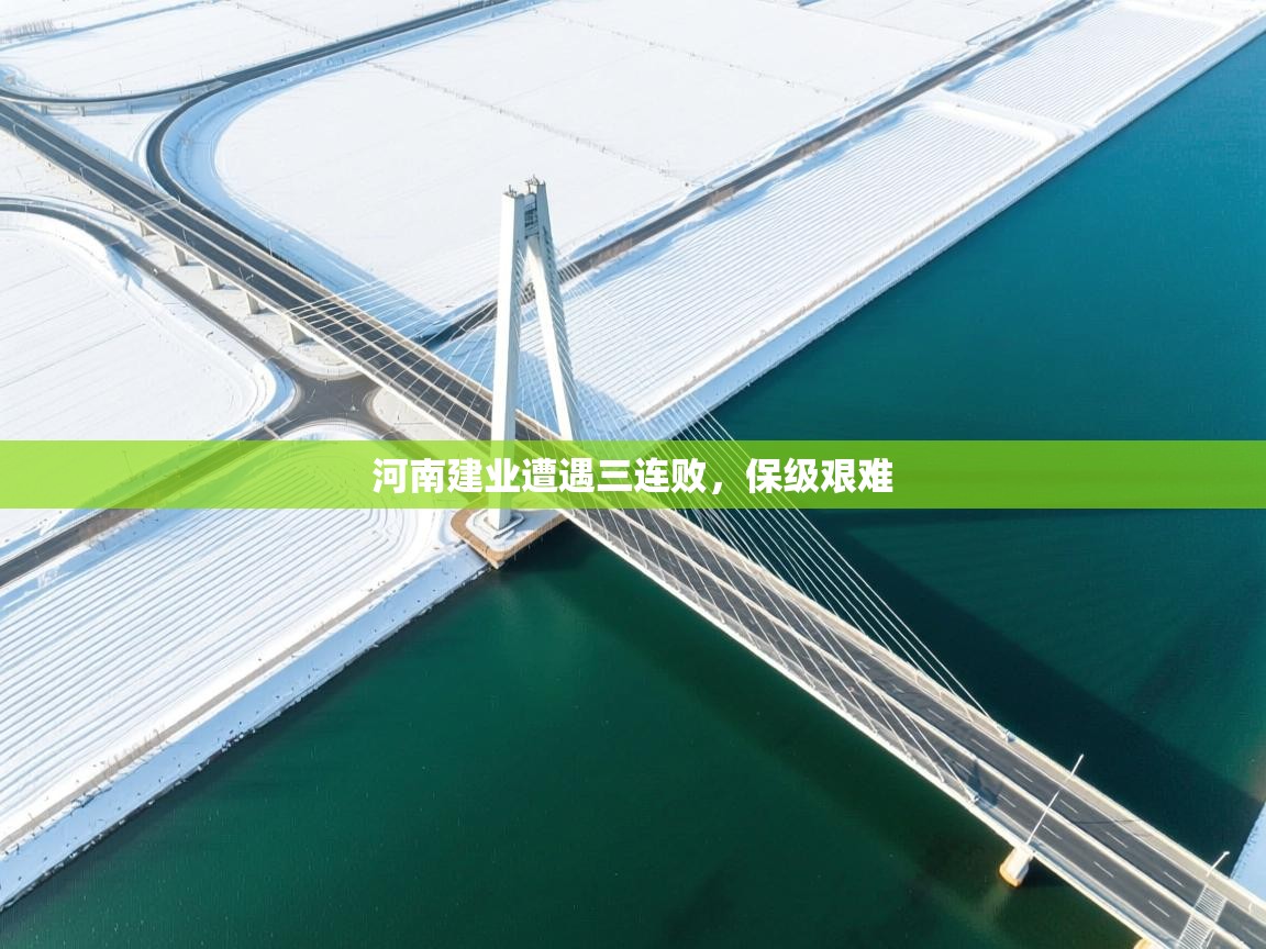 河南建业遭遇三连败，保级艰难  第1张