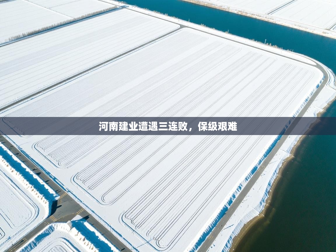 河南建业遭遇三连败，保级艰难  第2张