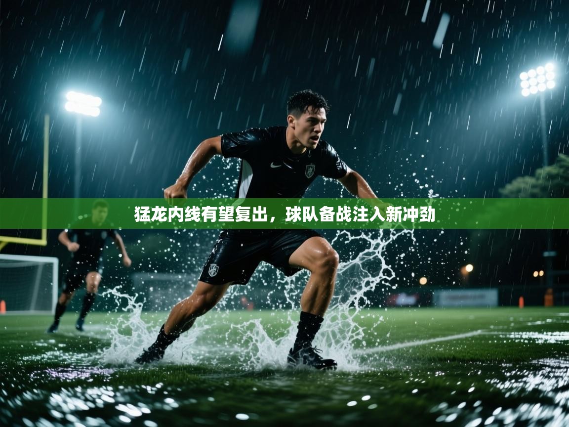 猛龙内线有望复出，球队备战注入新冲劲  第2张