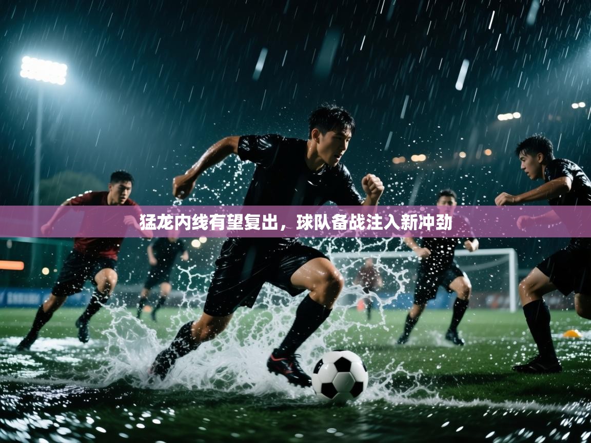 猛龙内线有望复出，球队备战注入新冲劲  第1张