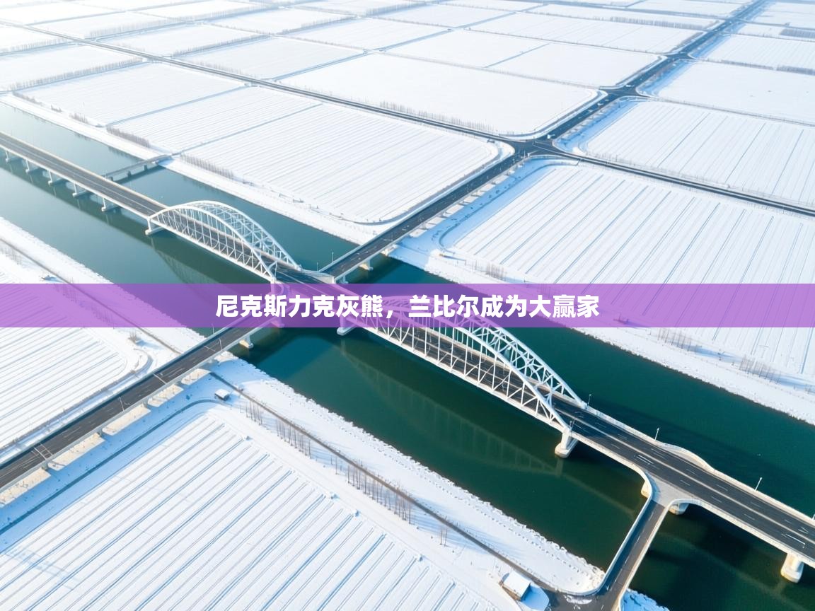 尼克斯力克灰熊，兰比尔成为大赢家  第1张