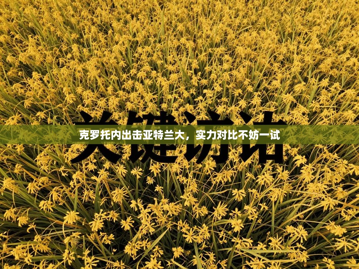 克罗托内出击亚特兰大,实力对比不妨一试 第2张