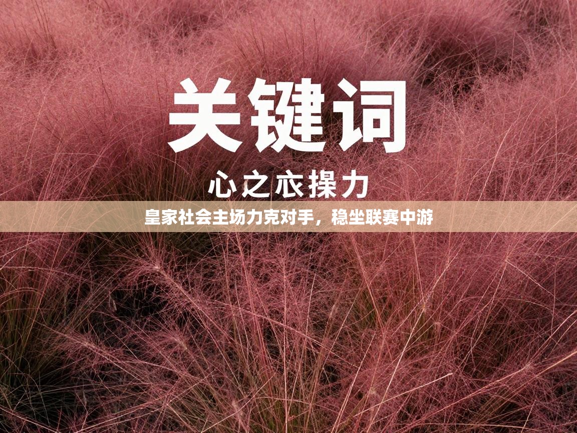 皇家社会主场力克对手，稳坐联赛中游  第2张