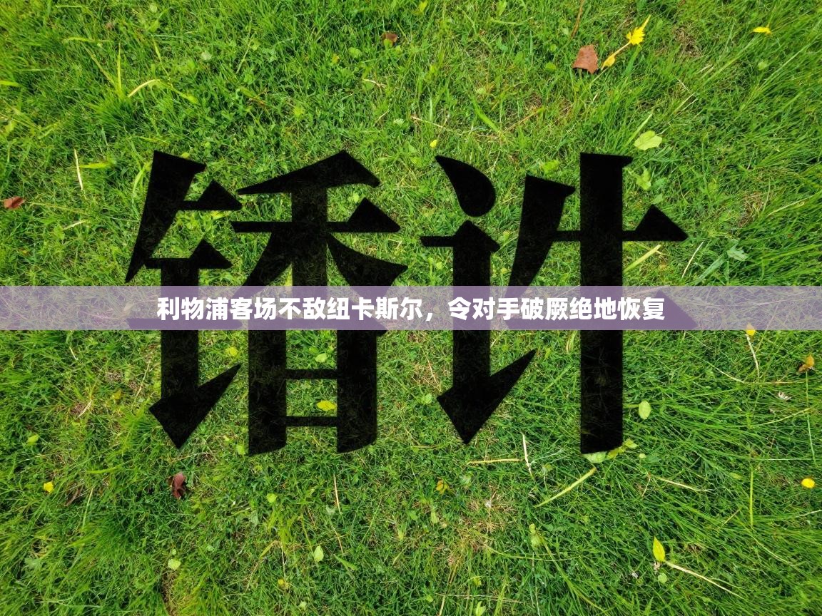 利物浦客场不敌纽卡斯尔，令对手破厥绝地恢复  第2张