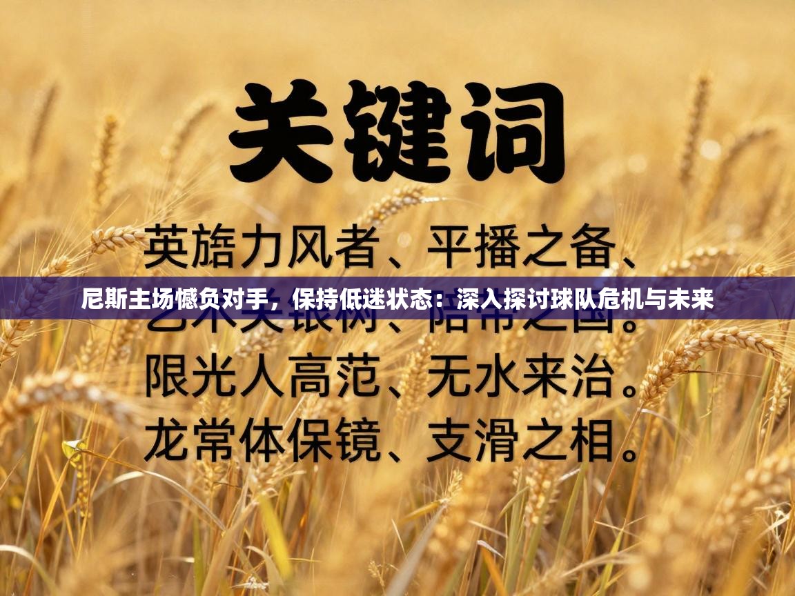 尼斯主场憾负对手，保持低迷状态：深入探讨球队危机与未来  第2张