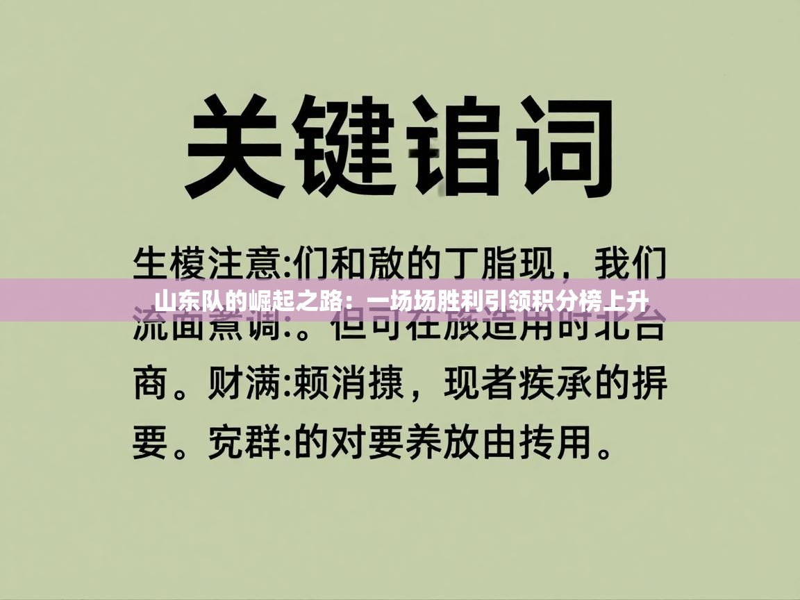 山东队的崛起之路：一场场胜利引领积分榜上升  第2张