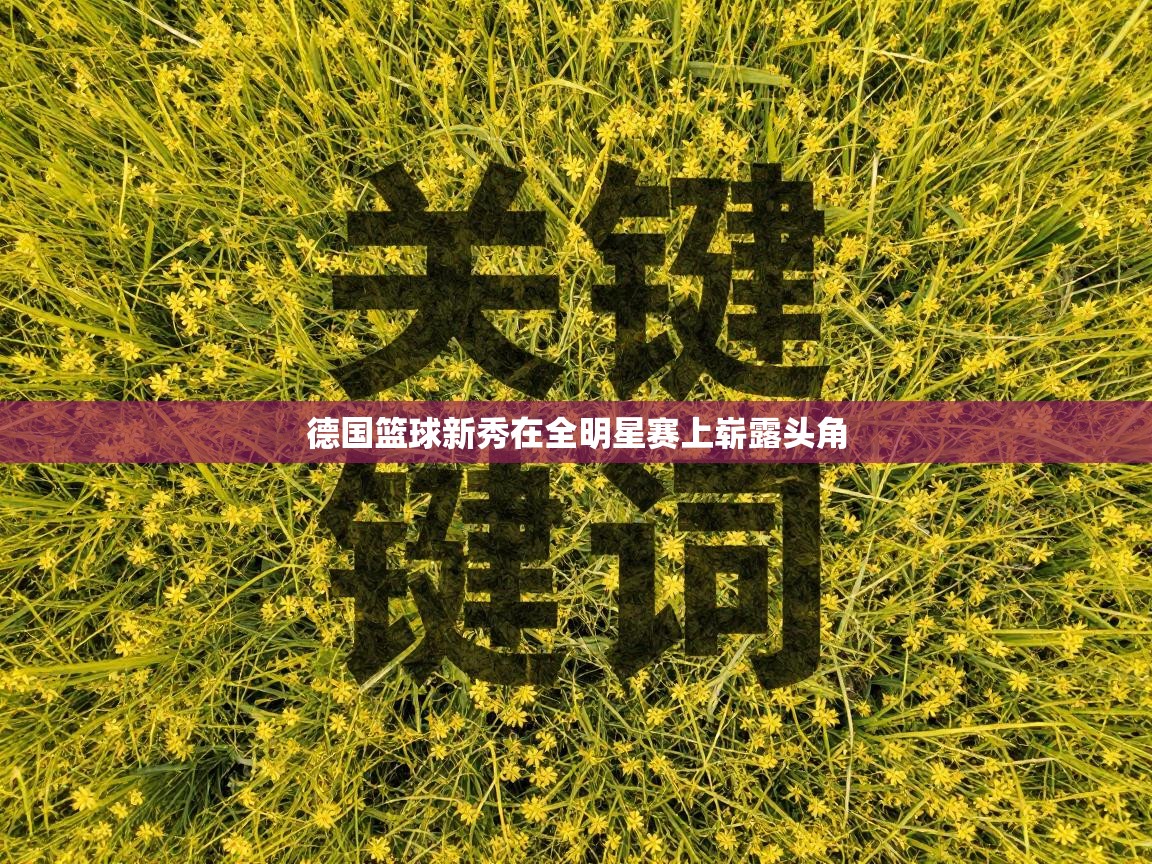 德国篮球新秀在全明星赛上崭露头角  第1张